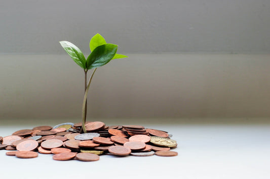 SARAPH Wealth Code — Sistema Financiero